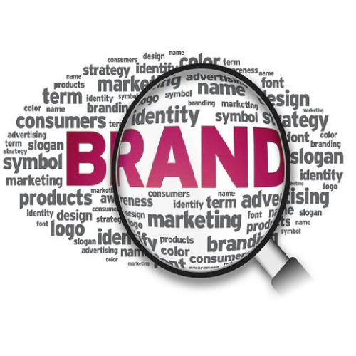 Brand Marketing Study