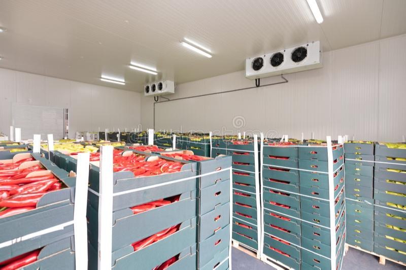 Practical Project Report - Cold Storage Unit, Pan India