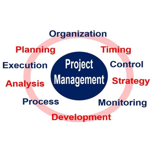 Individual Consultant 1 Month New Project Development Report Services, Pan India, Type Of Industry Business: Food