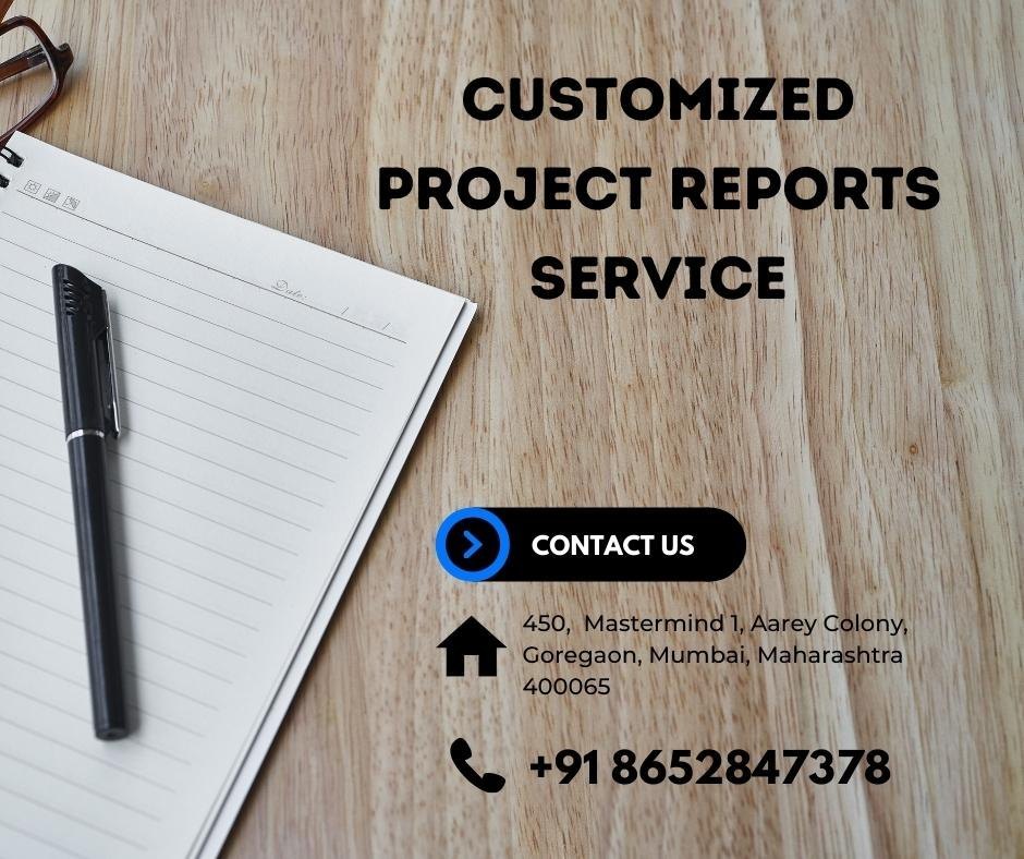 Customized Project Reports Service