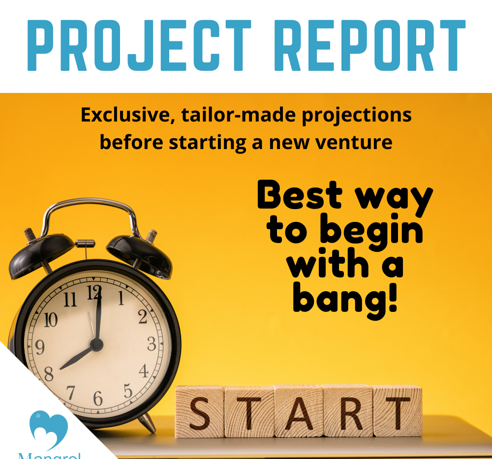 Project Report Services, Pan India