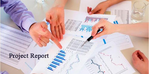 Paper Project Reports