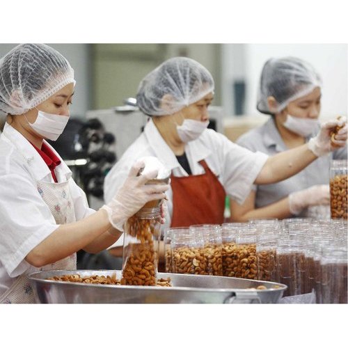 Individual Consultant Food Processing Unit Setup Consultancy Services, Location: Pan India