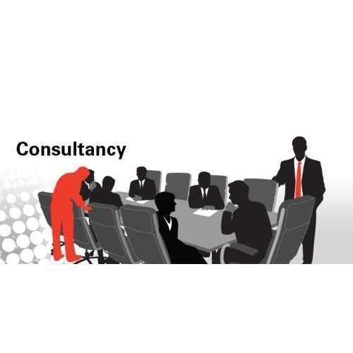 Project Consultancy Services