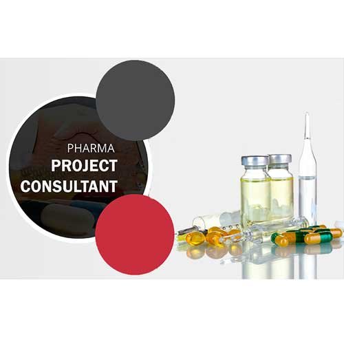 Pharma Project Consultant Service, Service Location: Pan India