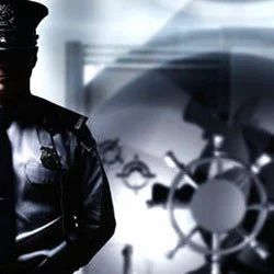 Security Service