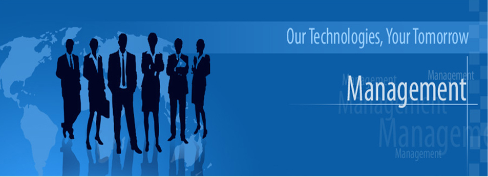 Service Management Consulting Service