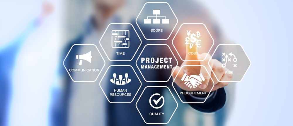 Commercial IT Project Management Consultants, in Pan India, Business Applications