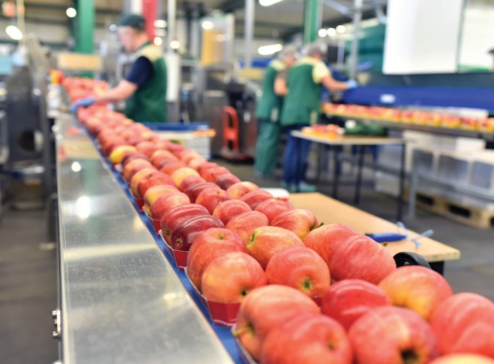 As Size Post Harvest Management Consultants, Pan India, Type Of Industry Business: Agriculture