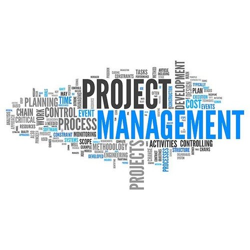 Project Management Services