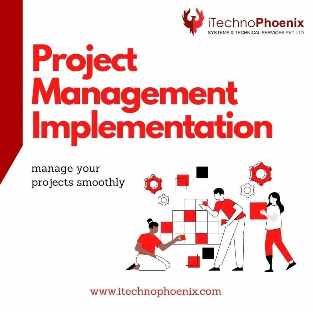 Industrial Project Management Implementation Service