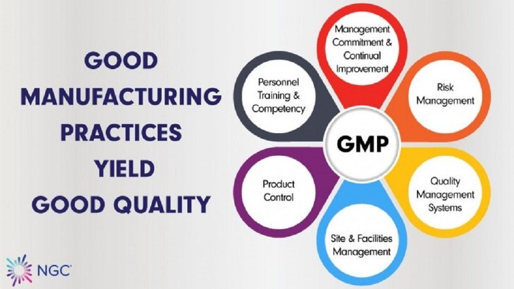 Project Management Consultancy Service