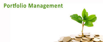 Portfolio Management Services