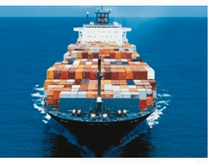 Project Handling