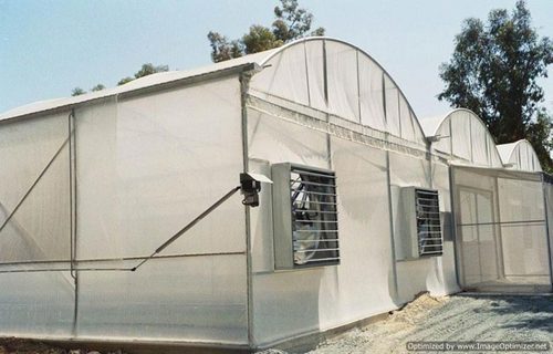 Greenhouse Turnkey Projects & Consultancy