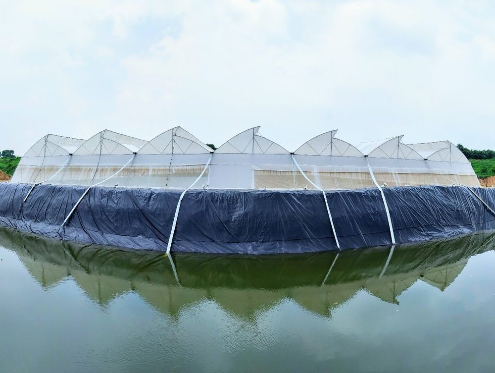 Within 1 Month Offline Greenhouse Turnkey Project