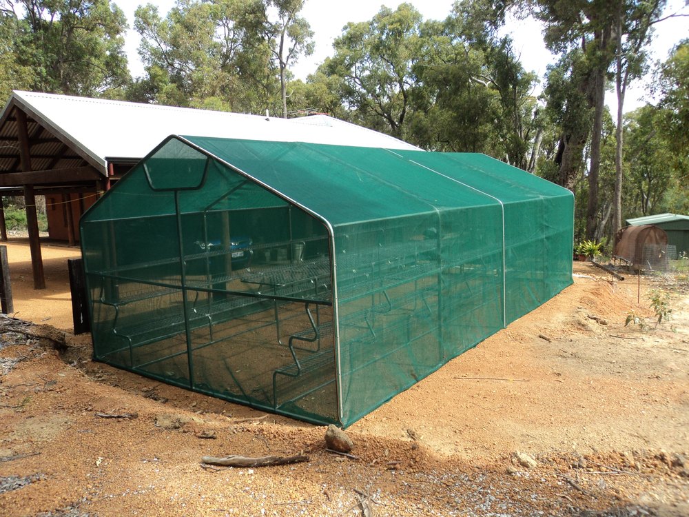 Small Size Tunnel Polyhouse