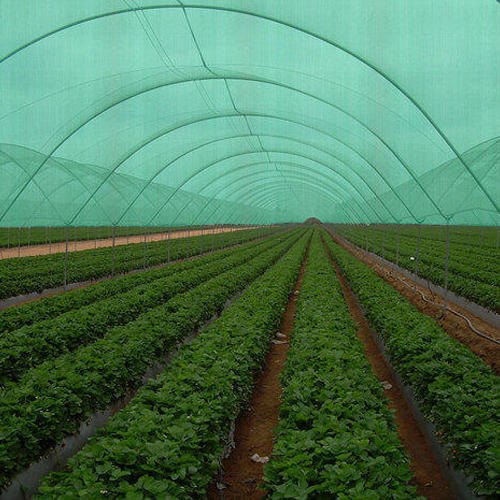 Agriculture Project Preparation Service