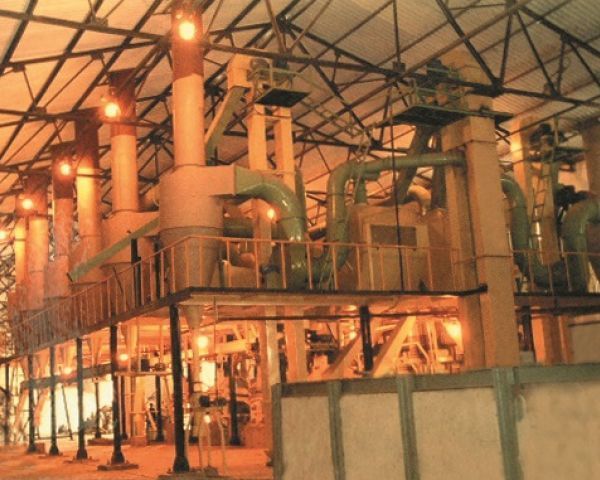 Automatic Agricultural Turnkey Projects