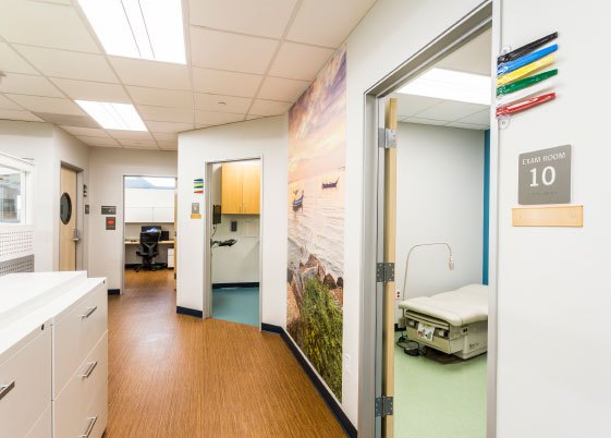 Offline Company Healthcare Project Solutions