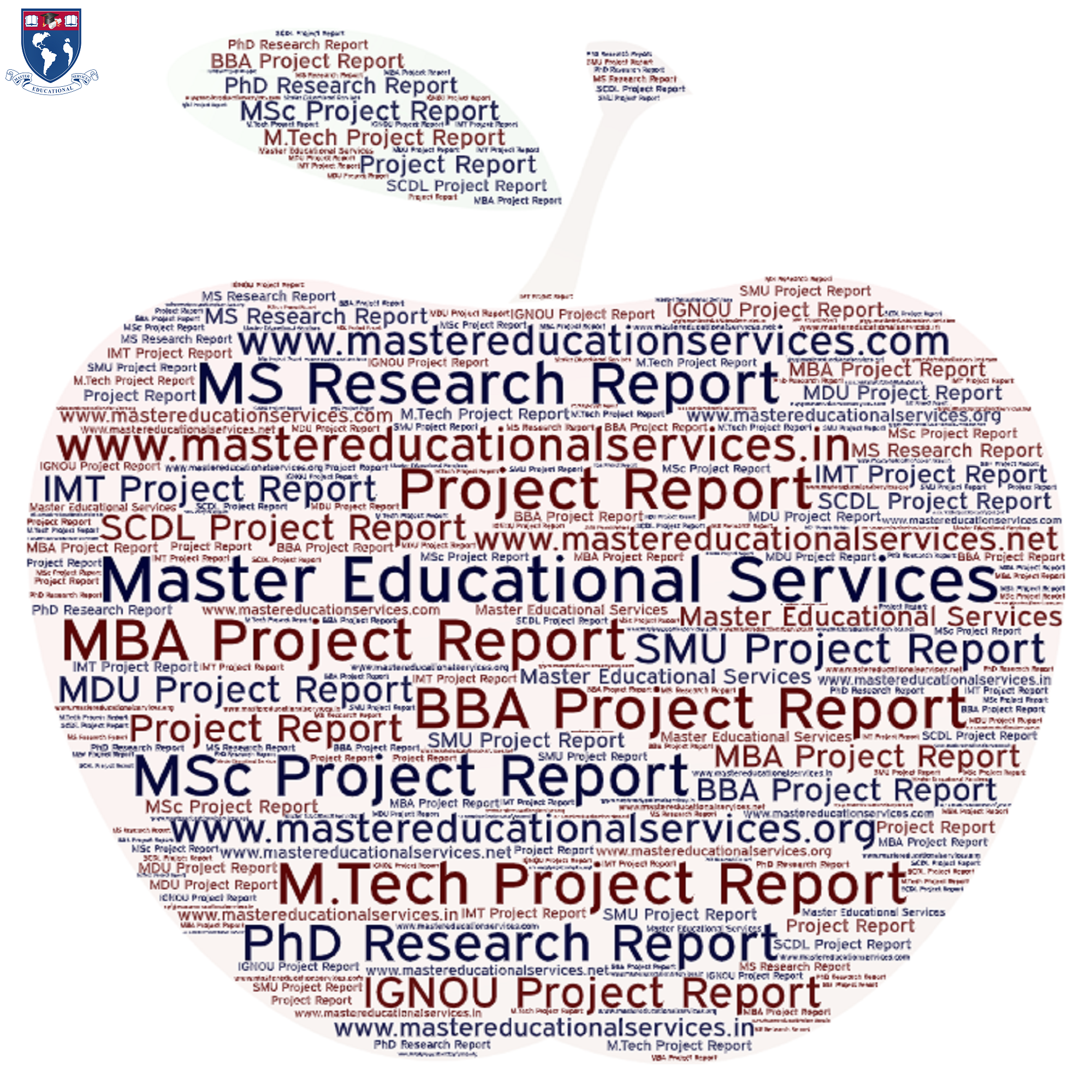 MS Research Report