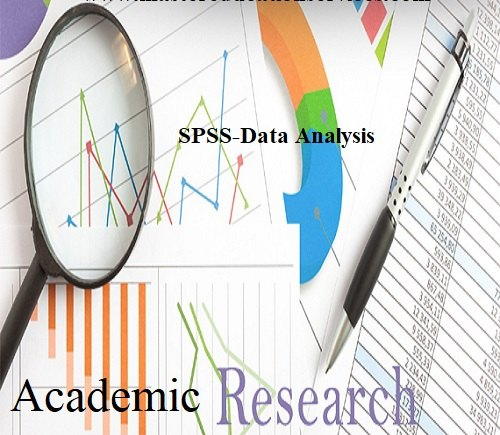 Qualitative Research Services SPSS, in Delhi
