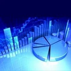 Market & Financial Feasibility Analysis