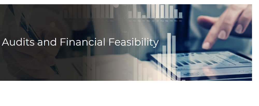 Audits and Financial Feasibility
