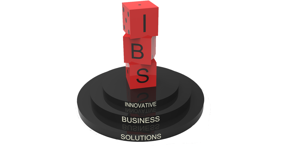 Project Development and Execution