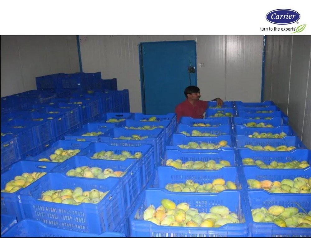 PUF & SS Cold Storage Services in Odisha, Automation Grade: Fully Automatic, -40 To +10