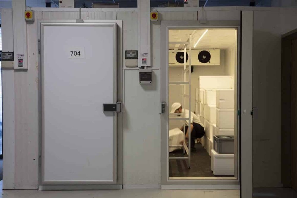 Cold Room Maintenance Service