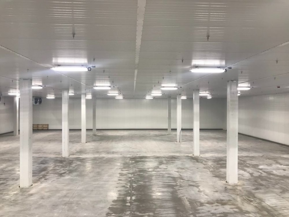 fruits, vegetables Cold Storage Consultants, Automation Grade: Semi Automatic