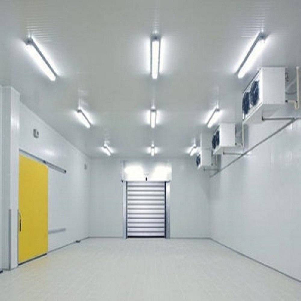 Industrial Cold Storage Service