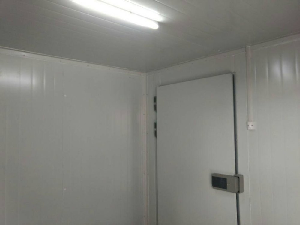 Puf Panel Vegetables Cold Storage Construction Service, Automation Grade: Fully Automatic, -35