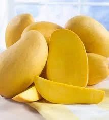 Fruits Cold Storage Facility For Mango Pulp, Automation Grade: Fully Automatic
