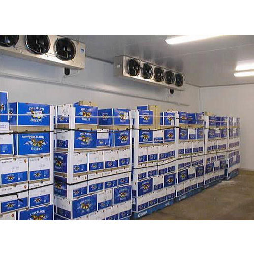 Vegetables & Fruits Cold Storage