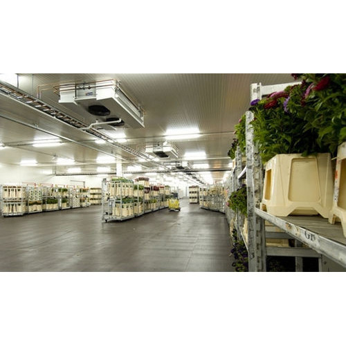 1-5000 Vegetable Cold Storage