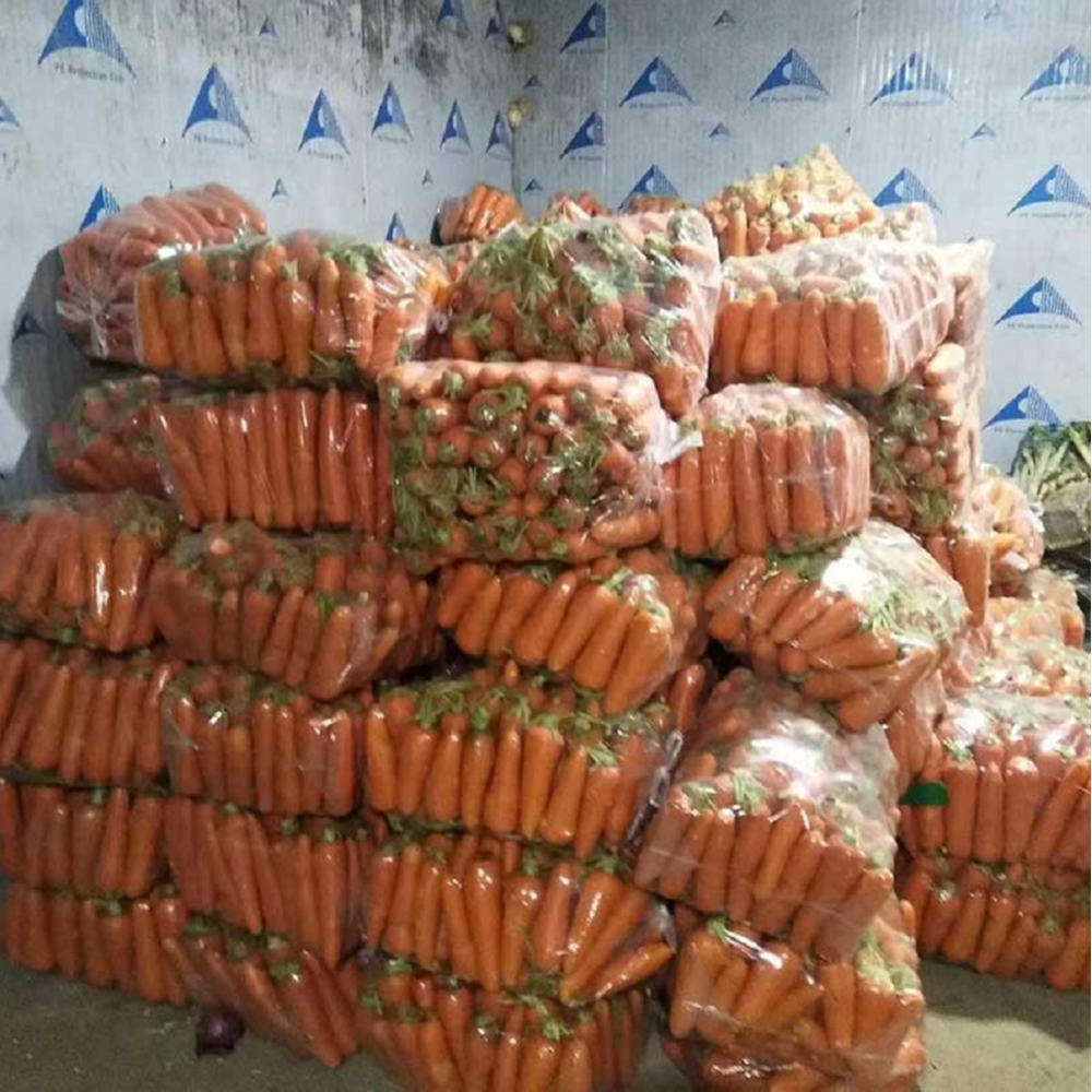 30 Ton Vegetable Cold Storage