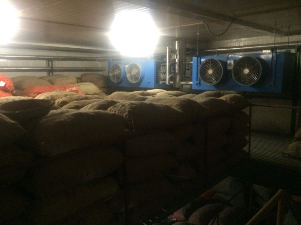 Vegetable Cold Storage, Capacity / Size of Storage: 10 Mt To 40000 Mt