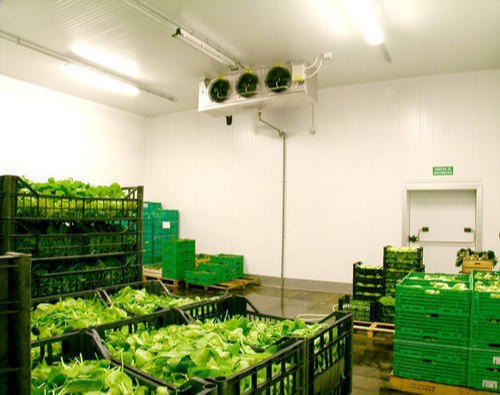 50-60 Hz Blue Star Vegetable Cold Room, Automation Grade: Fully Automatic, -45 To 30 Degree C