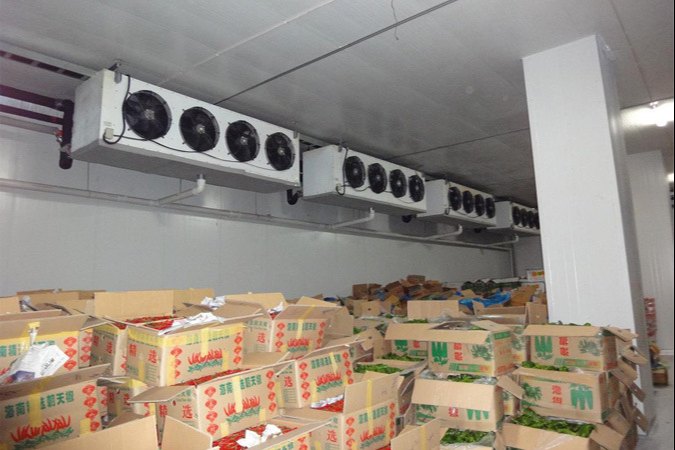 Capacity: 10 Ton Vegetable Cold Storage