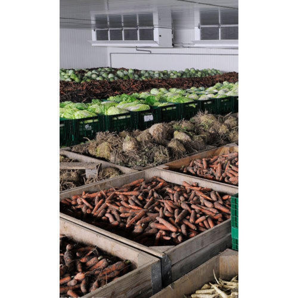 Vegetable Cold Storage Room, Model No.: Cold Room
