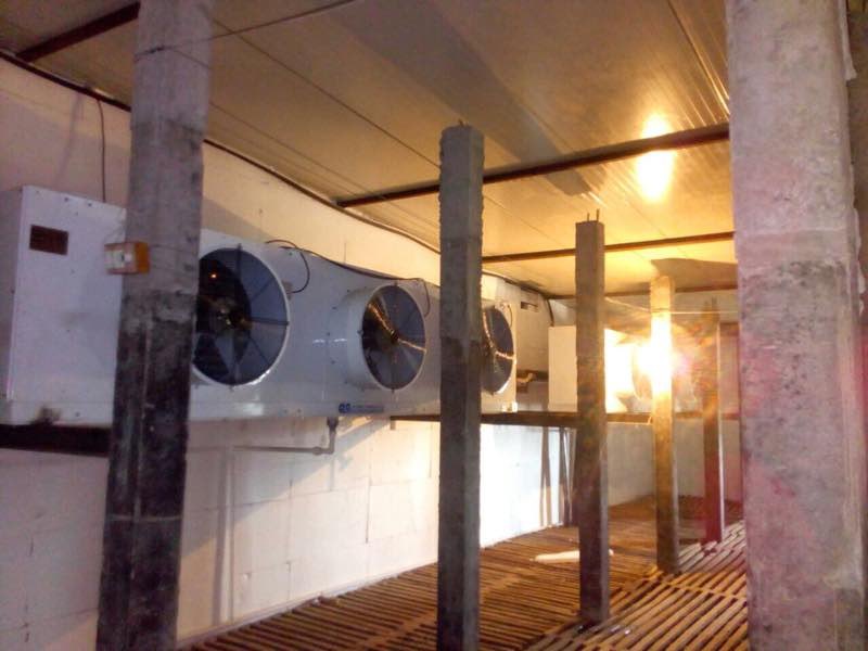 BARCO Semi-Automatic Potato Cold Storage, Capacity: 10 Ton To 10000 Mt, 2 To 4 Deg C