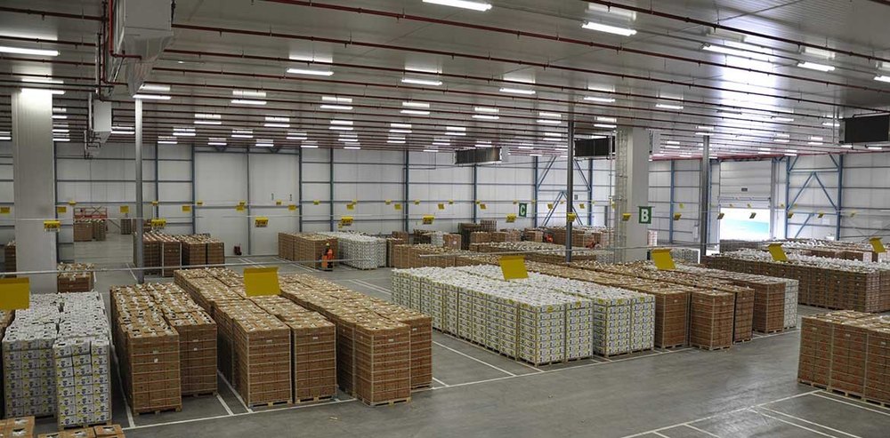 Mild Steel Refrigerated Warehouse, Automation Grade: Fully Automatic
