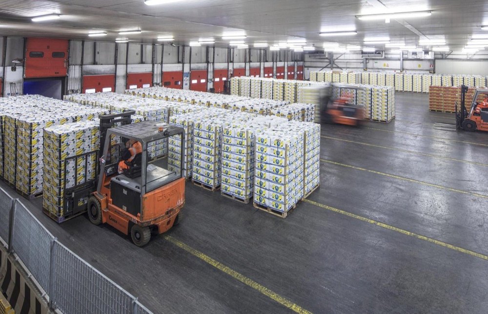 Warehouse Storage Services, in Pan India