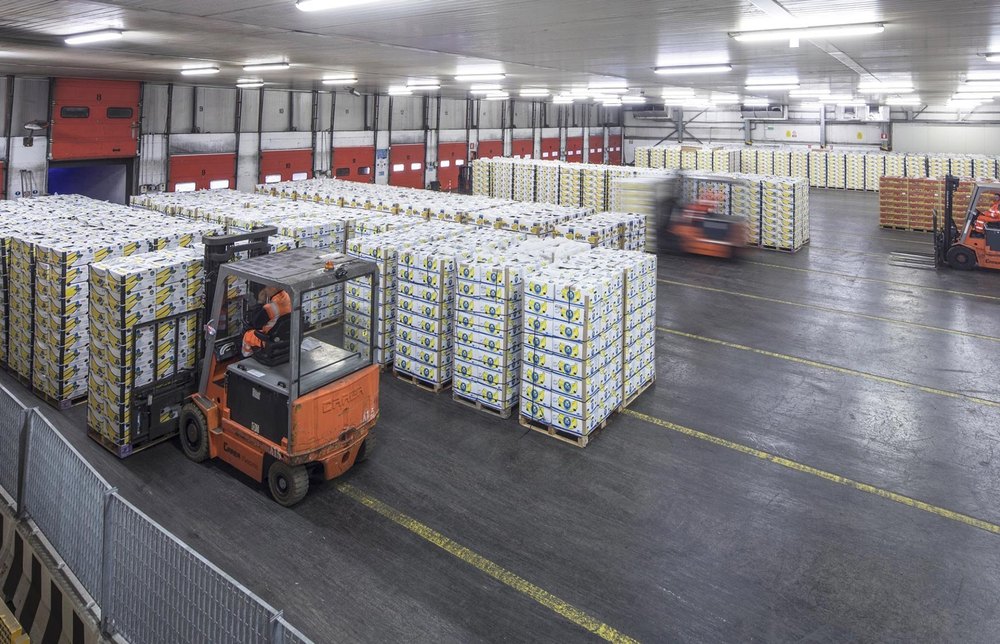 Secured Cargo Warehousing Service