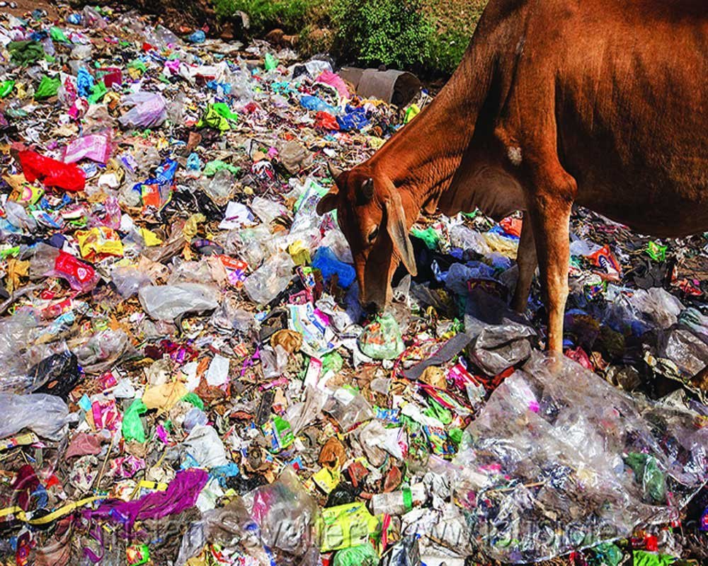Non-Biodegradable Yearly Waste Management Consultants, in PAN India, Commercial