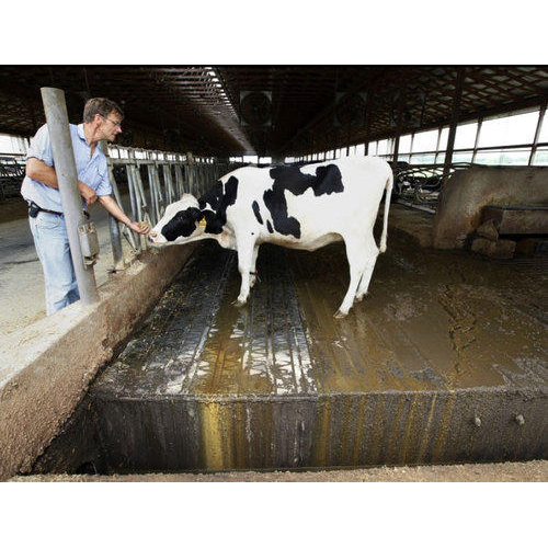 Dairy Farms Waste Management Consultant