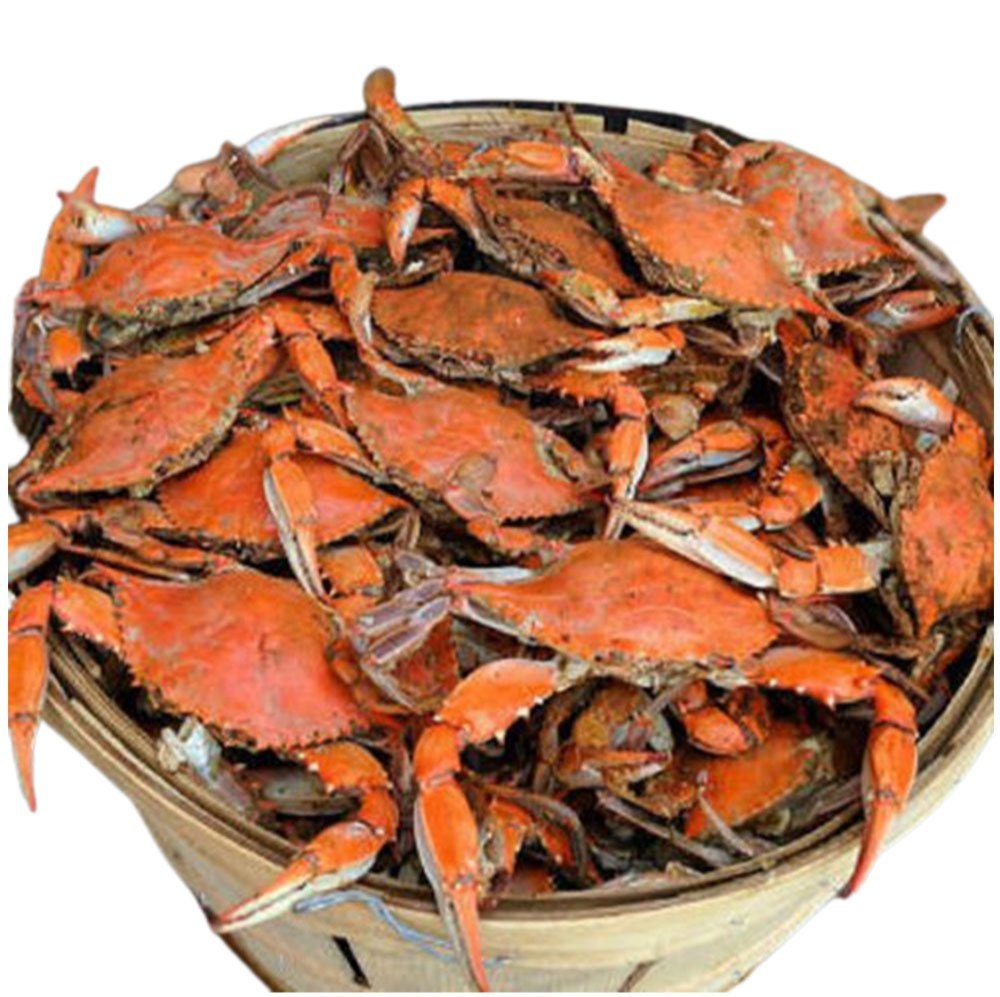 Fresh Red Crab, For Restaurant, Packaging Type: Thermocol Box