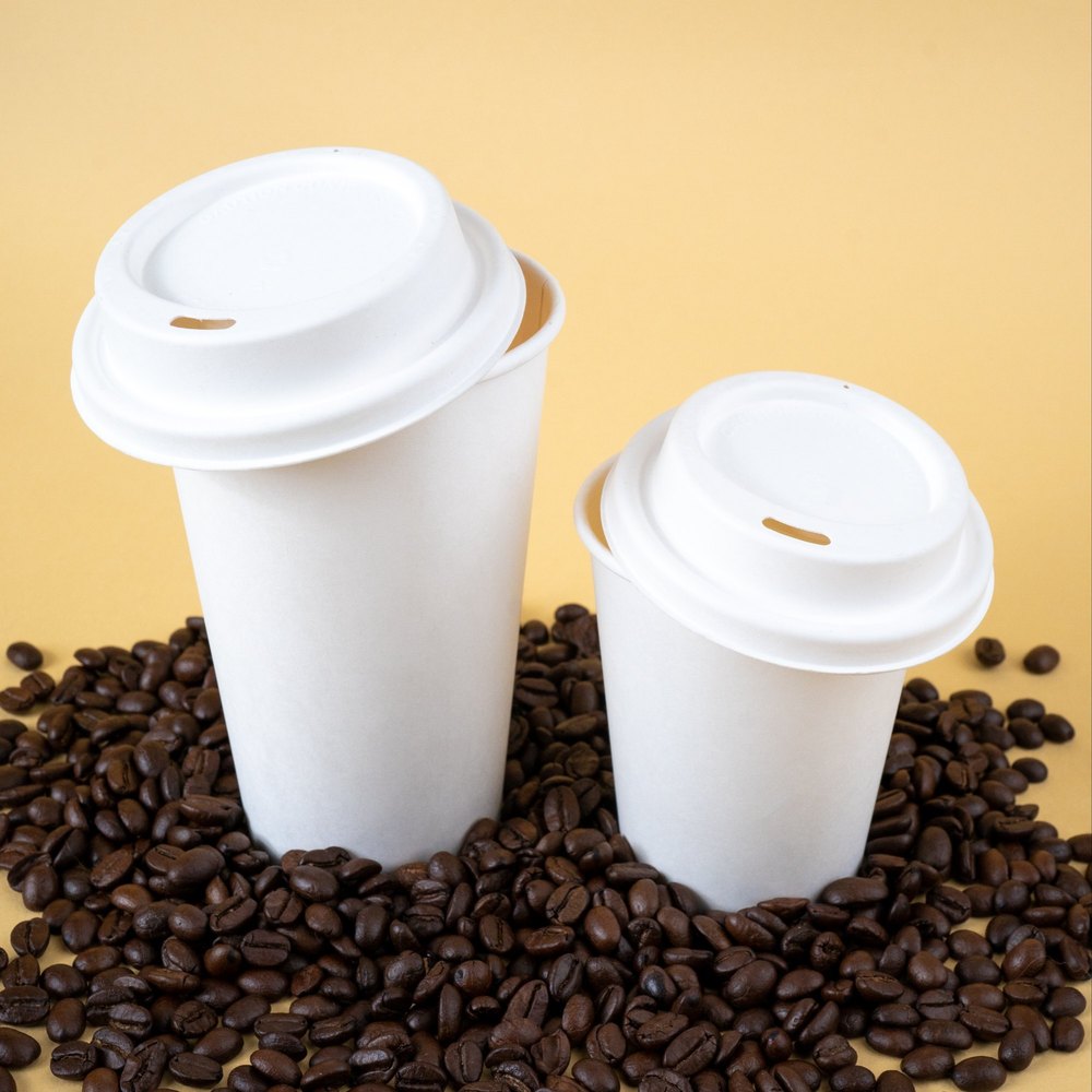 250ml Double Wall Paper Coffee Cup (240ml, 360ml)